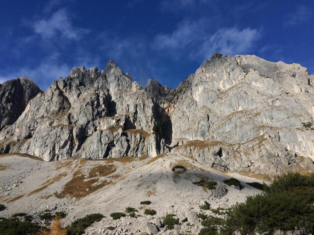 Ferienwohnung "Mein Alpenjuwel" Filzmoos Dış mekan fotoğraf